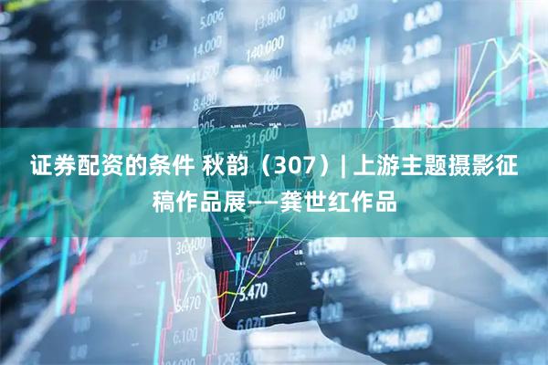 证券配资的条件 秋韵（307）| 上游主题摄影征稿作品展——龚世红作品