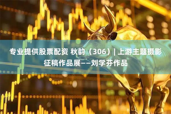 专业提供股票配资 秋韵（306）| 上游主题摄影征稿作品展——刘学芬作品