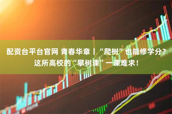 配资台平台官网 青春华章丨“爬树”也能修学分？这所高校的“攀树课”一课难求！