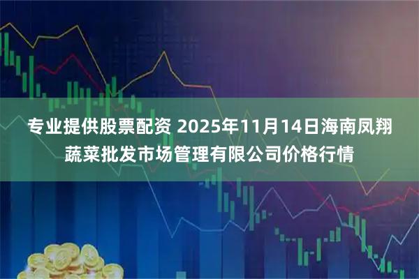 专业提供股票配资 2025年11月14日海南凤翔蔬菜批发市场管理有限公司价格行情