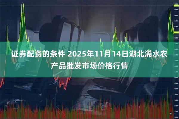 证券配资的条件 2025年11月14日湖北浠水农产品批发市场价格行情