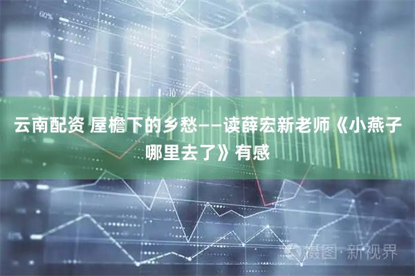 云南配资 屋檐下的乡愁——读薛宏新老师《小燕子哪里去了》有感